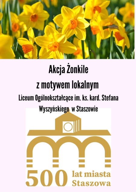 Akcja Żonkile z motywem lokalnym w ramach obchodów 500-lecia Staszowa