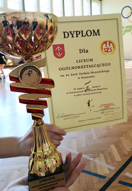 WICEMISTRZYNIE POWIATU W PIŁCE RĘCZNEJ