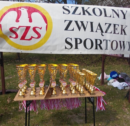 FINAŁ WOJEWÓDZKI w INDYWIDUALNYCH  i DRUŻYNOWYCH BIEGACH PRZEŁAJOWYCH DZIEWCZĄT i CHŁOPCÓW